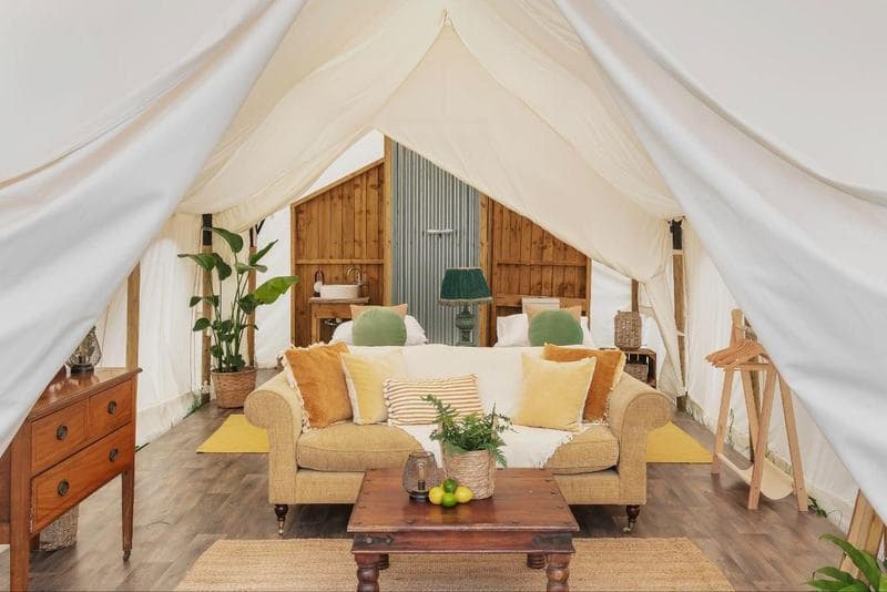 Safari Suite Grand