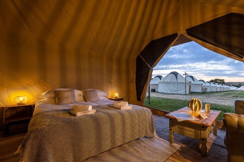 Safari Suite