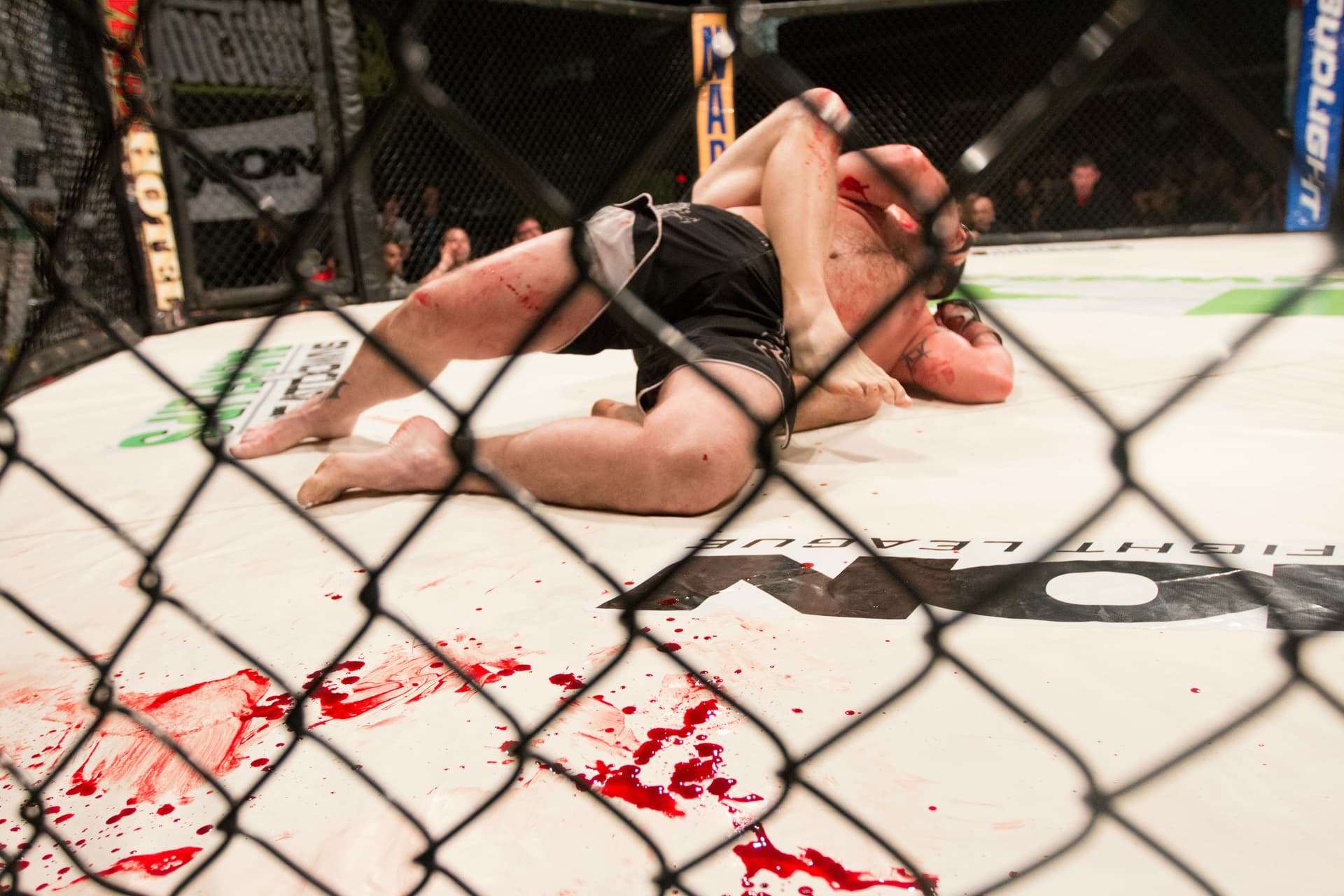 UFC 333
