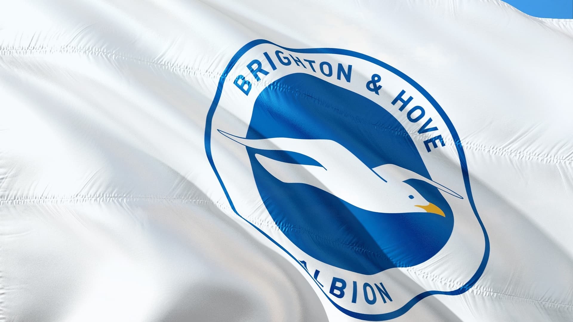 Brighton & Hove Albion